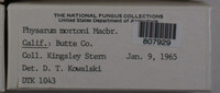 Image Associated With the Occurence